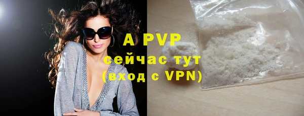 гашик Лабытнанги