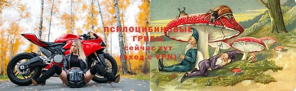 марки lsd Алапаевск