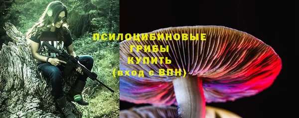 гашик Лабытнанги
