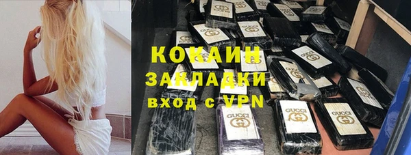 индика Алагир