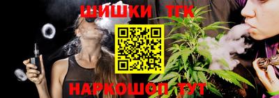 индика Камышлов