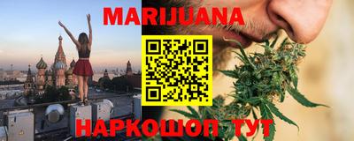 индика Камышлов