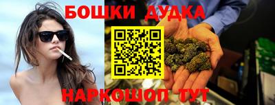 индика Камышлов