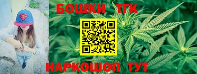 индика Камышлов