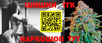 индика Камышлов