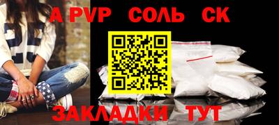 индика Камышлов