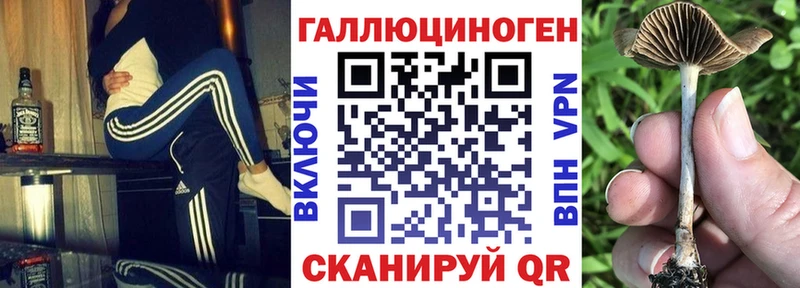 Псилоцибиновые грибы GOLDEN TEACHER  Туапсе 