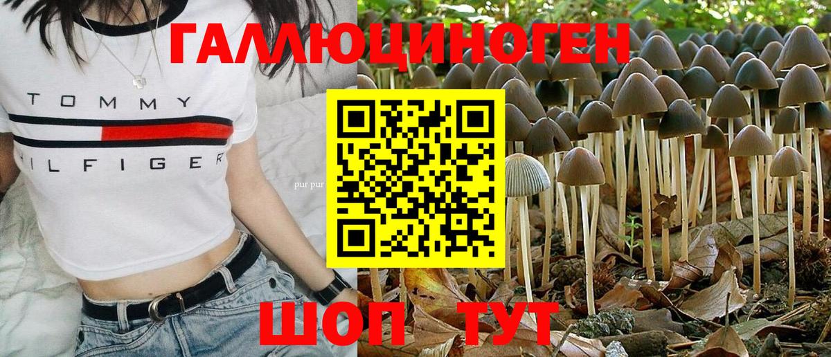 Псилоцибиновые грибы GOLDEN TEACHER Туапсе